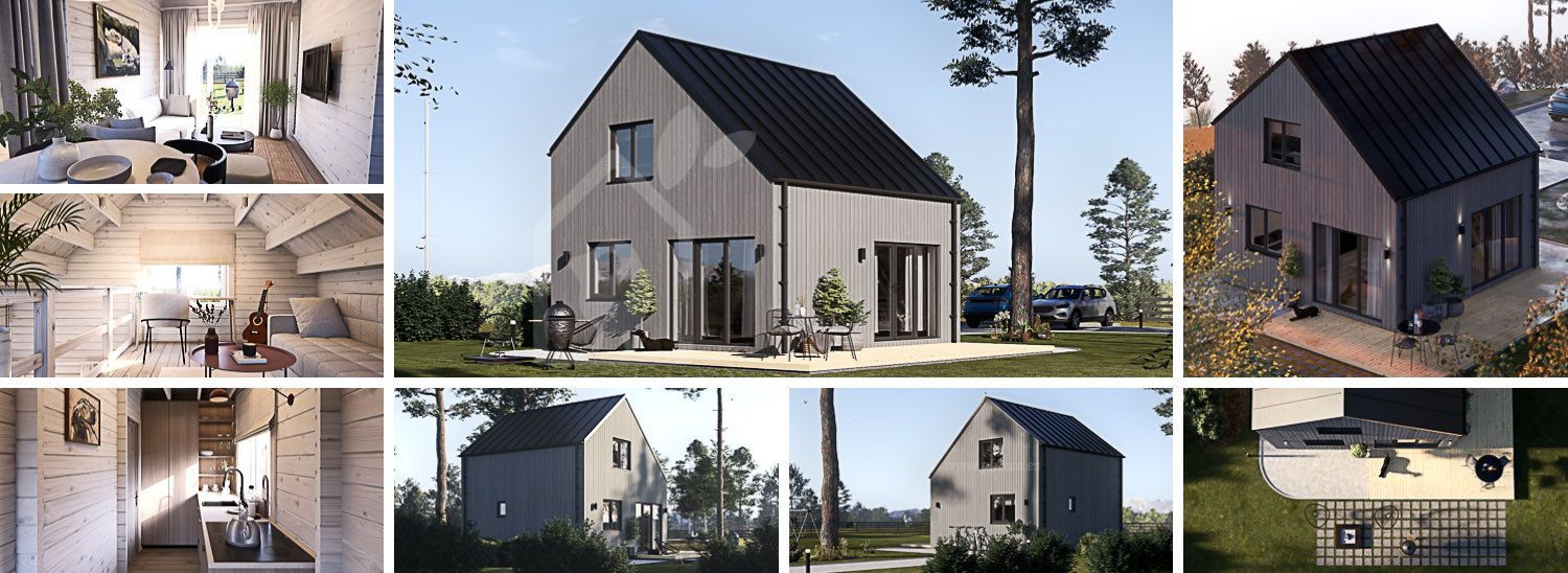Casa de madeira para habitação SELIA RV (Isolamento térmico PLUS, 44 mm + revestimento), 44 m² visualization 1